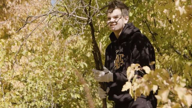 Дубовая роща. Забота и преображение смотреть онлайн