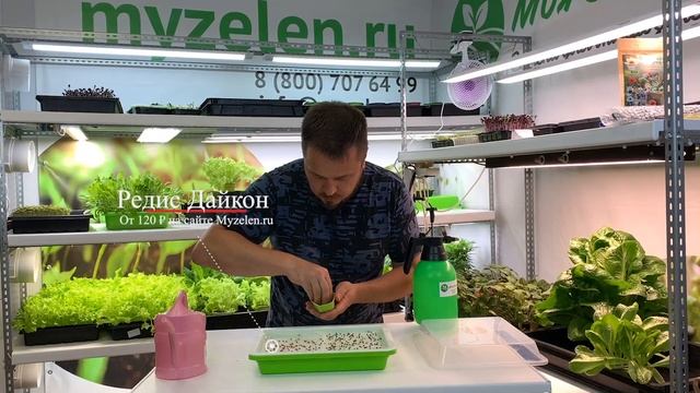 Лотки для микрозелени. Идеальное решение для дома! смотреть онлайн