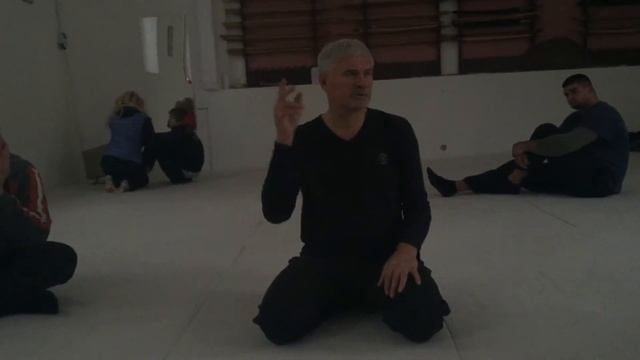 Sistema S. Polunin. Презентация в г. Пловдив ч.9 управления сознанием смотреть онлайн