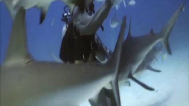 Живая тема. Разум глубин смотреть онлайн