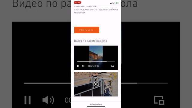 Раскол для овец смотреть онлайн