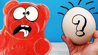 КАК ОТОБРАТЬ У СТРАУСА ЯЙЦО ДЛЯ ЖЕЛЕЙНОГО МЕДВЕДЯ ВАЛЕРЫКАК ОТОБРАТЬ У СТРАУСА ЯЙЦО ДЛЯ ЖЕЛЕЙНОГО МЕ смотреть онлайн