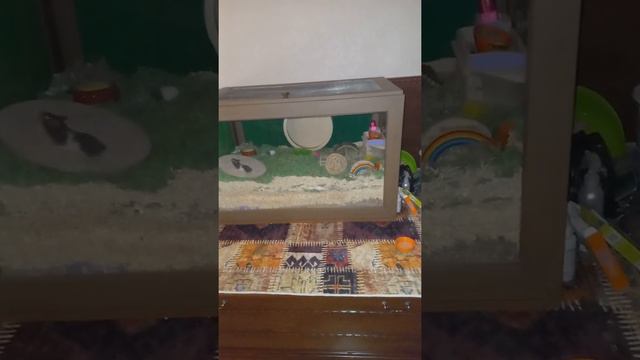 3 августа 2022 г. смотреть онлайн