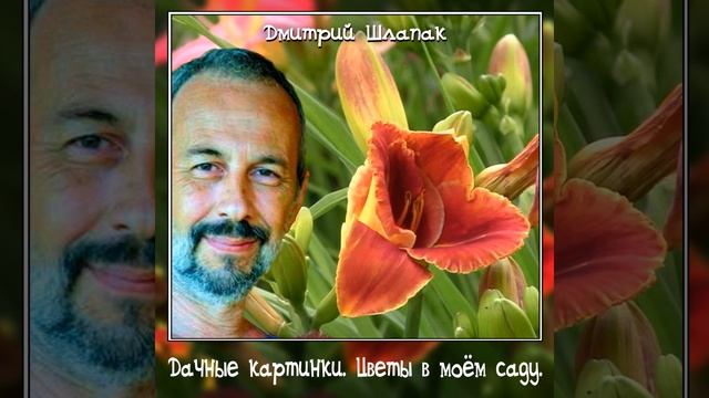 У меня кормушка за окном смотреть онлайн