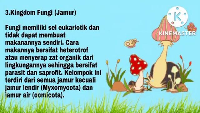 Kingdom Makhluk Hidup смотреть онлайн