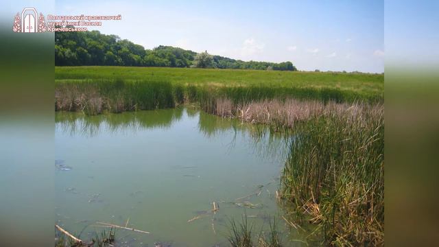 До Всесвітнього дня водно болотних угідь 2022 смотреть онлайн