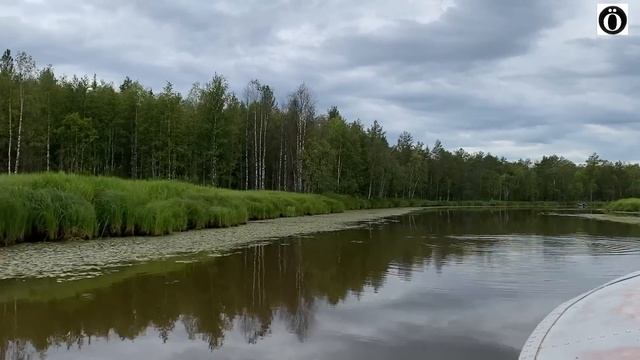 Дикий Север! Поездка на Синдорское озеро и в деревню Синдор. Бездорожье и душевные люди. смотреть онлайн