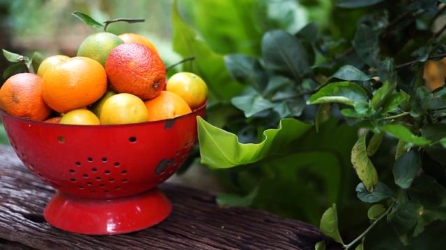 В каких продуктах витамина С больше, чем в лимонах смотреть онлайн