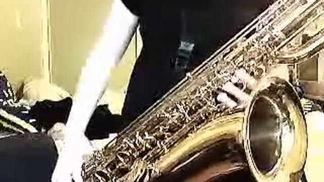 'Pokemon' Original Theme - Baritone Sax смотреть онлайн