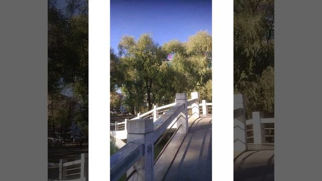 Цзямусы Китай октябрь 2019 смотреть онлайн