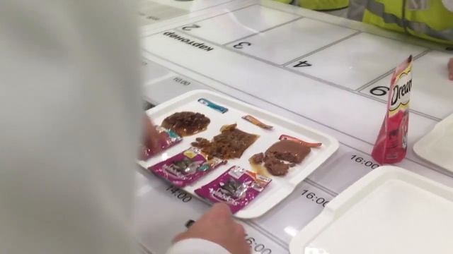 Дегустируем кошачий корм смотреть онлайн