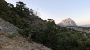 VID_20190717_193912.mp4