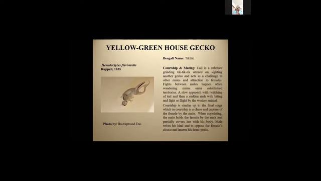 Lockdown Talks (S6): Diversity and Natural History of Lizards of West Bengal by Dr. Kaushik Deuti смотреть онлайн