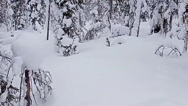 Закрытие сезона на куницу. смотреть онлайн