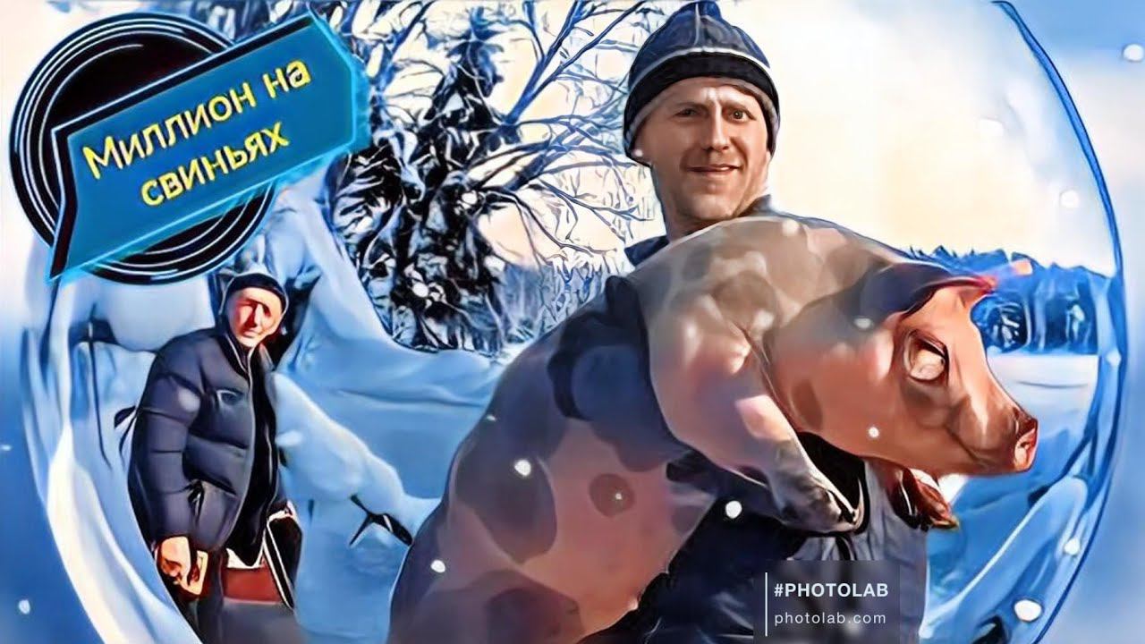 Продал поросят мутантов на племя породы пьетрен-пьетрен макстер. смотреть онлайн