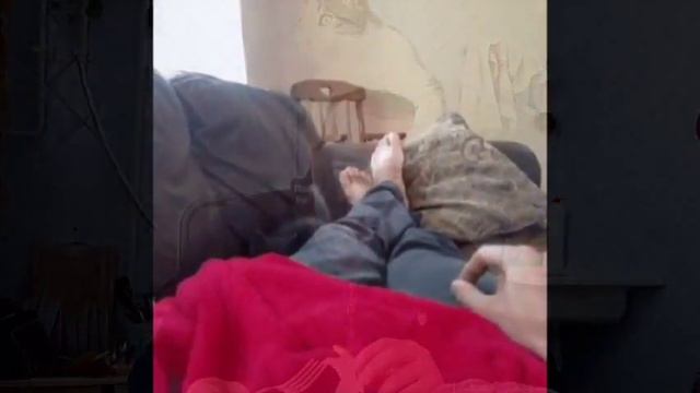 Почему кошки больше любят мужчин/ Man and cat смотреть онлайн
