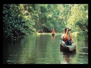 На далёкой Амазонке (исп. Т.и С.Никитины)