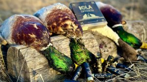 Охота с подсадной уткой 2024 | Красота весенней охоты