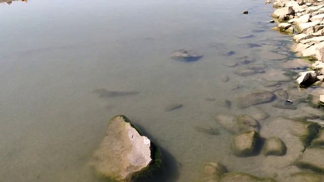 Рыбалка в Кыргызстане / Ала-Арчинское водохранилище рыбалка / Ловля раков / Природа Кыргызстана смотреть онлайн