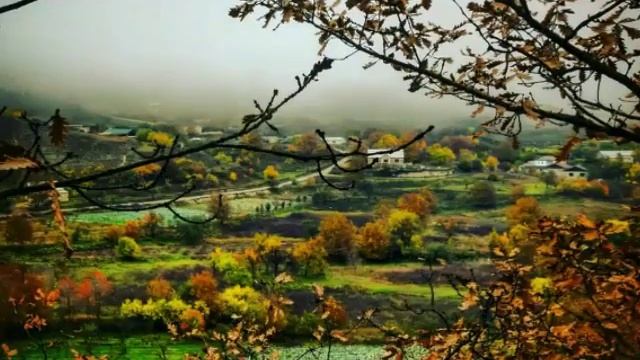 Чахимахи .. Левашинский район смотреть онлайн