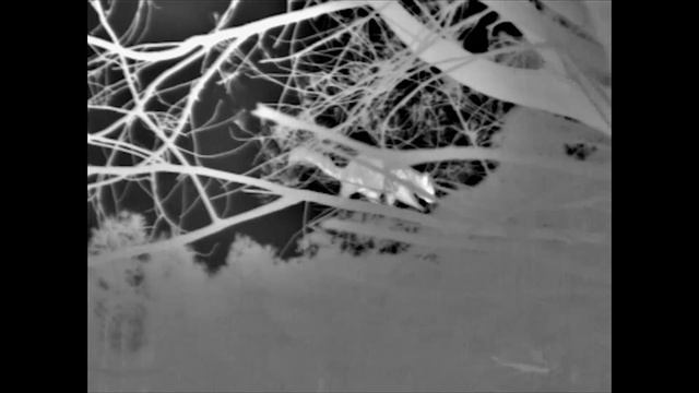 THERM APP 25Hz 19mm Lens Thermal Camera field test. смотреть онлайн