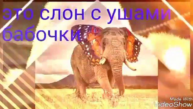 5 необычных животных смотреть онлайн