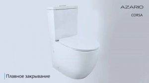 Обзор унитазов бренда Azario.