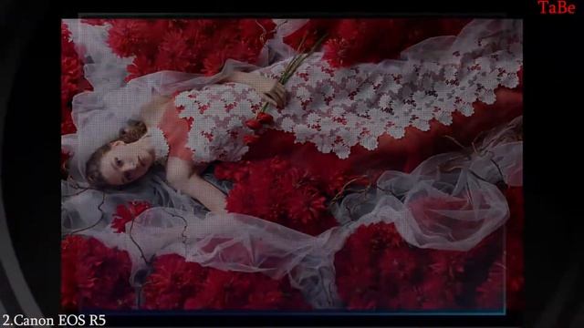 Best cameras 2021| Top 5 Cameras Of 2021 You Can Buy Amazon смотреть онлайн