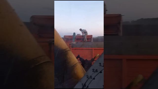 Вот почему урожай хорошо растет