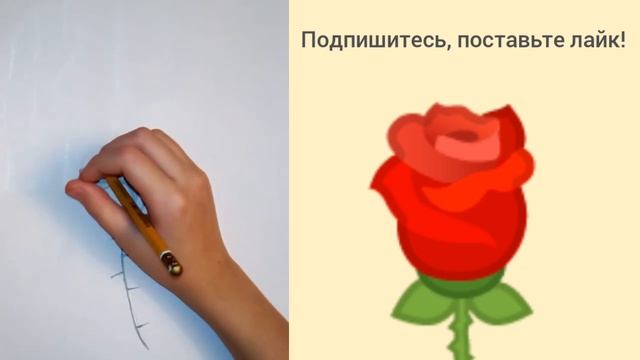 Рисую цветок карандашом | Drawing flower pencil смотреть онлайн