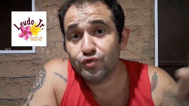 ROSA DO DESERTO - MUDA DE SEMENTE OU MUDA DE ENXERTO??? смотреть онлайн