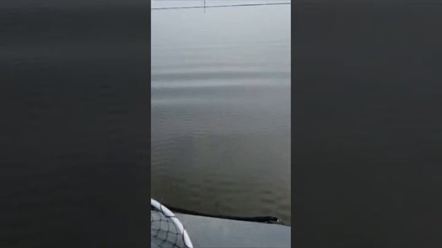 🎥Ловля крупного тайменя🔥🔥🔥Дуплет🎣 смотреть онлайн