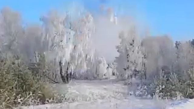 Зима в клетнянских лесах смотреть онлайн