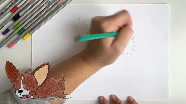 Как нарисовать собаку Чихуахуа | Рисовать собаку карандашом легко смотреть онлайн