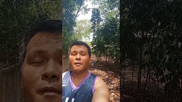 SAMPLE SCRIPT FOR INVITING PROSPECTS IN NETWORK MARKETING смотреть онлайн