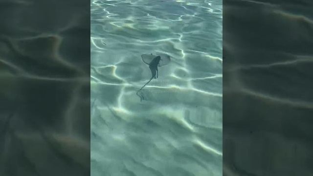 Куба. Cuba. 古巴。 20