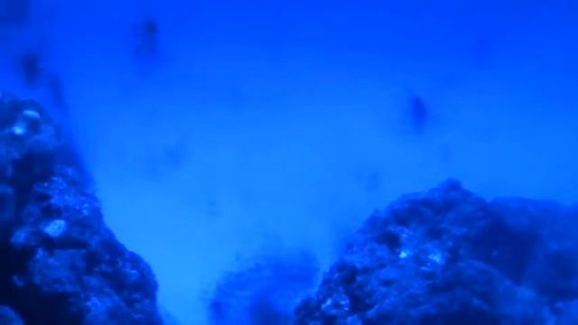 Actinic Light Effect смотреть онлайн