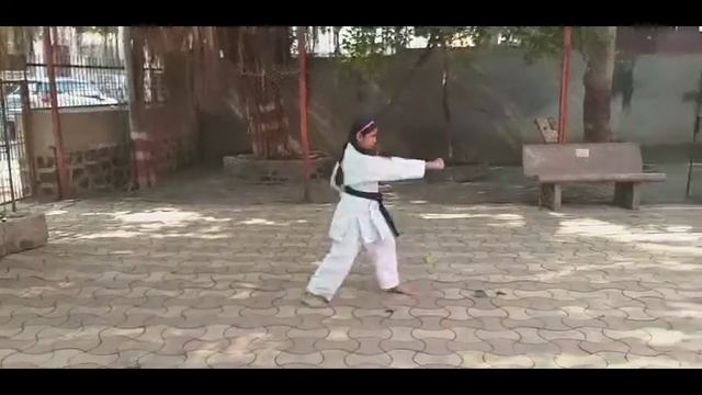 Shotokan Kata : Empi смотреть онлайн