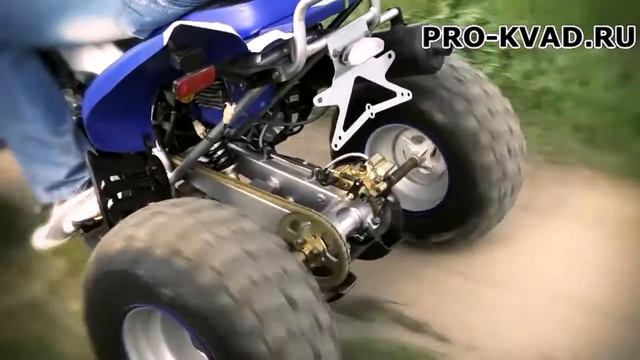Обзор квадроцикл Irbis ATV250S - Прокат и аренда квадроциклов в Москве © компания PRO-KVAD смотреть онлайн