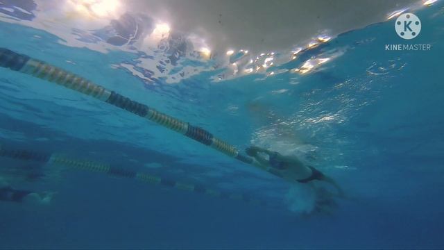 Брасс плавание. Что если укоротить гребок в БРАССЕ???Разбор техники. Как плавать брассом? смотреть онлайн