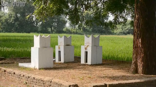 Сравнение Nikon D7200 и Nikon D7100