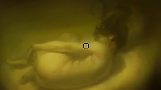 UN-201 Speedpaint ~1 hour смотреть онлайн