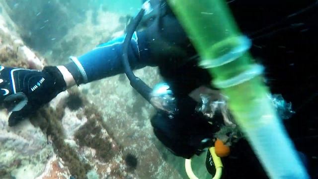 MONOCYCLE AND DIVING. SCUBA DIVING FOR A FRIEND FROM FRANCE #diving #euc #monokoleso смотреть онлайн