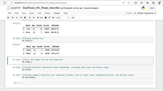 Day 5: Exploring and understanding the data (head, tail, shape, info, describe) смотреть онлайн