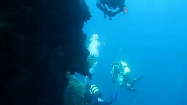 Pro Diving Club смотреть онлайн