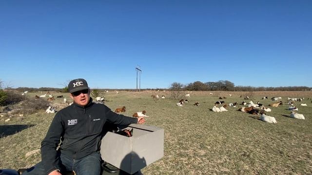 The Waiting Game смотреть онлайн