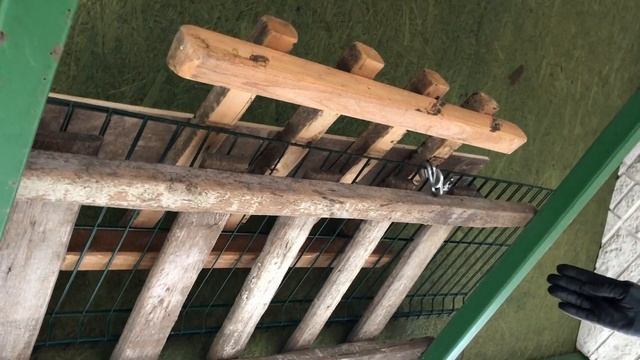 Строительные Премьеры