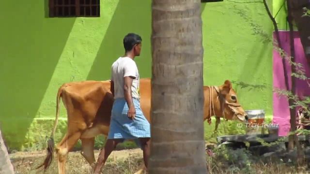 Canon sx430 Zoom test and review | iq tech tamil смотреть онлайн