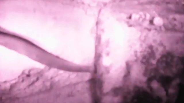 PICT0039 смотреть онлайн