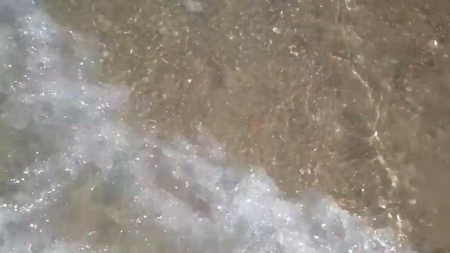 Нидерланды.Последнее купание в Северном море. смотреть онлайн